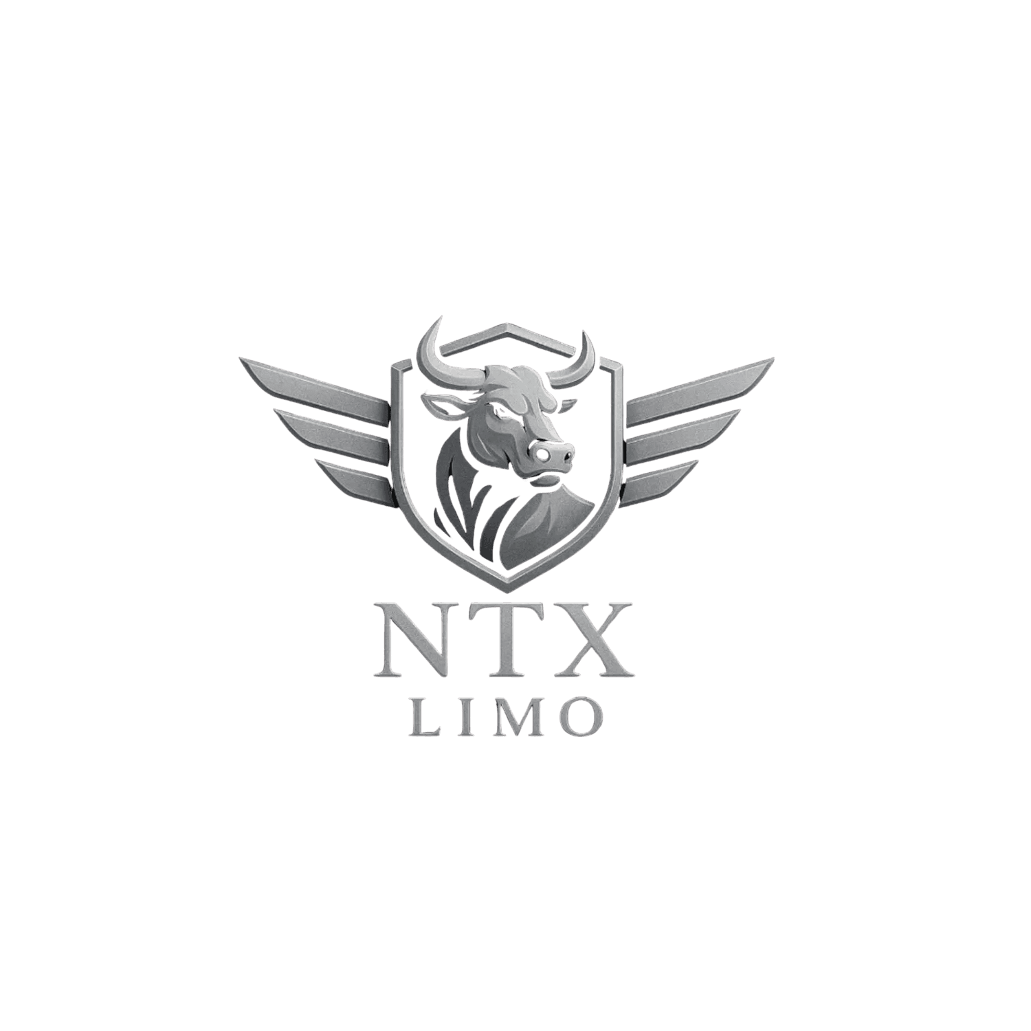 NTX Limo Logo